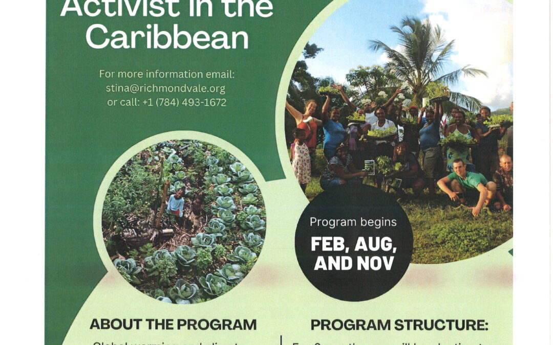 Climate Activist in the Caribbean