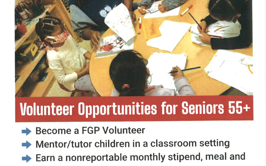 Volunteer Opportunities for Seniors 55+